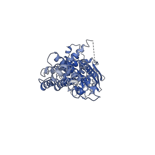 35149_8i3c_A_v1-2
Cryo-EM structure of abscisic acid transporter AtABCG25 with CHS
