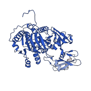 35153_8i3i_A_v1-0
Acyl-ACP Synthetase structure bound to AMP-PNP