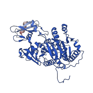 35153_8i3i_B_v1-0
Acyl-ACP Synthetase structure bound to AMP-PNP
