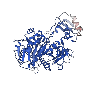 35153_8i3i_C_v1-0
Acyl-ACP Synthetase structure bound to AMP-PNP