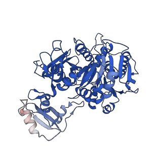 35153_8i3i_D_v1-0
Acyl-ACP Synthetase structure bound to AMP-PNP