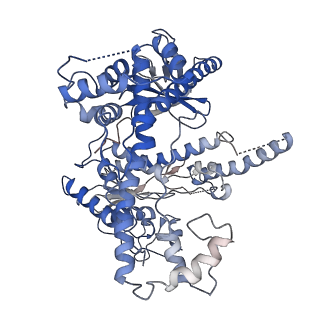 35154_8i3q_A_v1-1
Cryo-EM structure of Cas12g-sgRNA binary complex