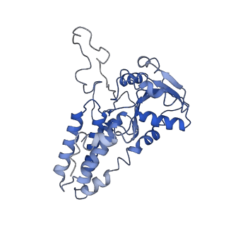 4404_6i3m_A_v1-2
eIF2B:eIF2 complex, phosphorylated on eIF2 alpha serine 52.