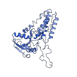 4404_6i3m_B_v1-2
eIF2B:eIF2 complex, phosphorylated on eIF2 alpha serine 52.