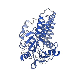 4404_6i3m_C_v1-2
eIF2B:eIF2 complex, phosphorylated on eIF2 alpha serine 52.