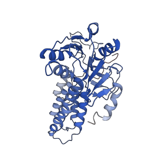 4404_6i3m_D_v1-2
eIF2B:eIF2 complex, phosphorylated on eIF2 alpha serine 52.