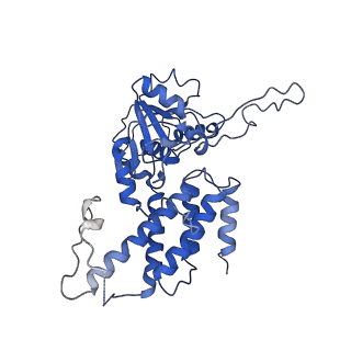 4404_6i3m_E_v1-2
eIF2B:eIF2 complex, phosphorylated on eIF2 alpha serine 52.