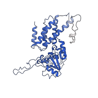 4404_6i3m_F_v1-2
eIF2B:eIF2 complex, phosphorylated on eIF2 alpha serine 52.