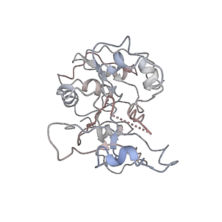 4404_6i3m_I_v1-2
eIF2B:eIF2 complex, phosphorylated on eIF2 alpha serine 52.