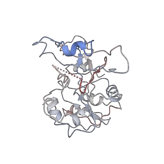 4404_6i3m_J_v1-2
eIF2B:eIF2 complex, phosphorylated on eIF2 alpha serine 52.