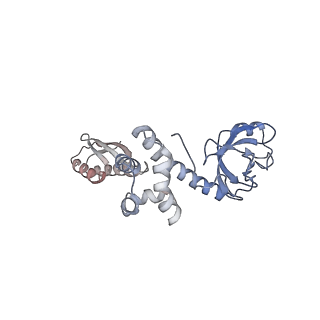 4404_6i3m_K_v1-2
eIF2B:eIF2 complex, phosphorylated on eIF2 alpha serine 52.