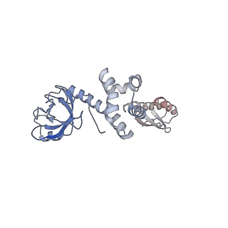 4404_6i3m_L_v1-2
eIF2B:eIF2 complex, phosphorylated on eIF2 alpha serine 52.