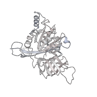 4404_6i3m_O_v1-2
eIF2B:eIF2 complex, phosphorylated on eIF2 alpha serine 52.
