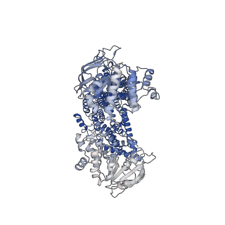 35167_8i4a_A_v1-0
Cryo-EM structure of dipyridamole-bound ABCC4