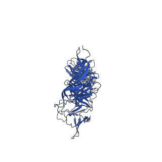35175_8i4m_C_v1-1
Portal-tail complex structure of the Cyanophage P-SCSP1u