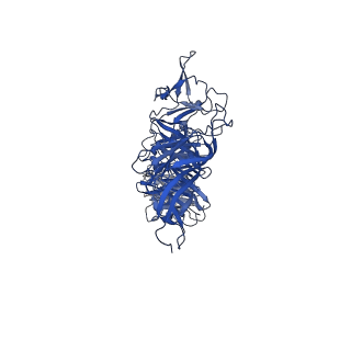 35175_8i4m_F_v1-1
Portal-tail complex structure of the Cyanophage P-SCSP1u