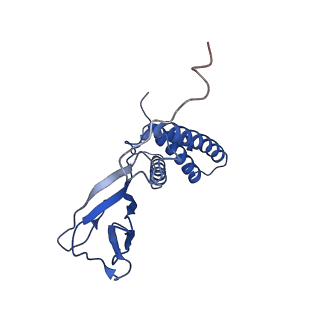 35175_8i4m_H_v1-1
Portal-tail complex structure of the Cyanophage P-SCSP1u