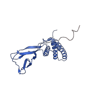 35175_8i4m_I_v1-1
Portal-tail complex structure of the Cyanophage P-SCSP1u
