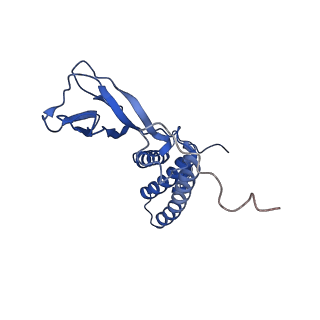 35175_8i4m_K_v1-1
Portal-tail complex structure of the Cyanophage P-SCSP1u