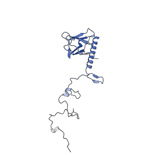 35175_8i4m_O_v1-1
Portal-tail complex structure of the Cyanophage P-SCSP1u