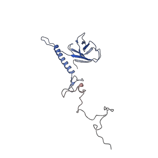 35175_8i4m_P_v1-1
Portal-tail complex structure of the Cyanophage P-SCSP1u