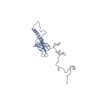 35175_8i4m_Q_v1-1
Portal-tail complex structure of the Cyanophage P-SCSP1u