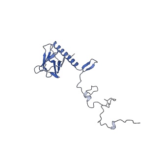 35175_8i4m_R_v1-1
Portal-tail complex structure of the Cyanophage P-SCSP1u