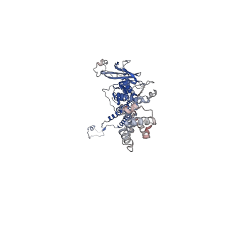35175_8i4m_S_v1-1
Portal-tail complex structure of the Cyanophage P-SCSP1u
