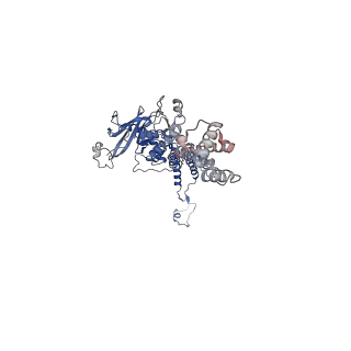 35175_8i4m_U_v1-1
Portal-tail complex structure of the Cyanophage P-SCSP1u