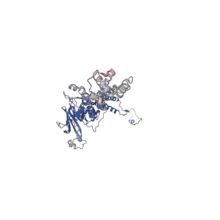35175_8i4m_V_v1-1
Portal-tail complex structure of the Cyanophage P-SCSP1u