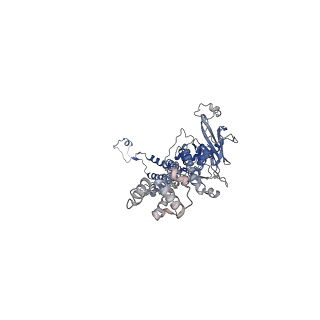 35175_8i4m_b_v1-1
Portal-tail complex structure of the Cyanophage P-SCSP1u