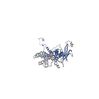 35175_8i4m_c_v1-1
Portal-tail complex structure of the Cyanophage P-SCSP1u