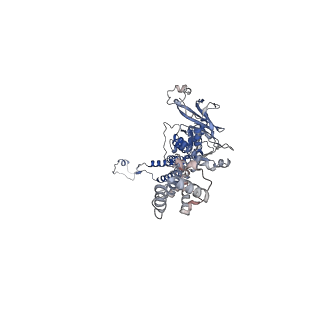 35175_8i4m_d_v1-1
Portal-tail complex structure of the Cyanophage P-SCSP1u