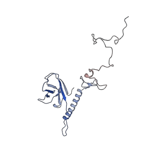 35175_8i4m_h_v1-1
Portal-tail complex structure of the Cyanophage P-SCSP1u