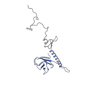 35175_8i4m_i_v1-1
Portal-tail complex structure of the Cyanophage P-SCSP1u