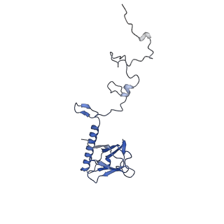 35175_8i4m_l_v1-1
Portal-tail complex structure of the Cyanophage P-SCSP1u