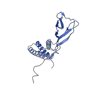 35175_8i4m_r_v1-1
Portal-tail complex structure of the Cyanophage P-SCSP1u