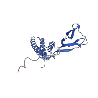 35175_8i4m_s_v1-1
Portal-tail complex structure of the Cyanophage P-SCSP1u