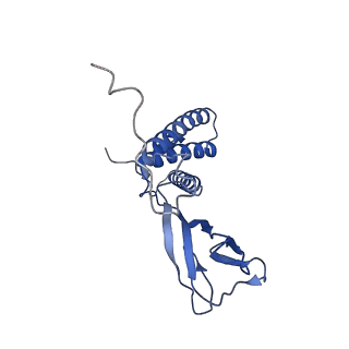 35175_8i4m_v_v1-1
Portal-tail complex structure of the Cyanophage P-SCSP1u