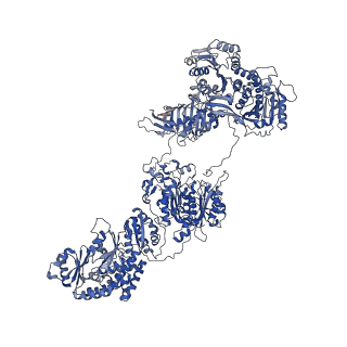 35188_8i4y_A_v1-1
CalA3 complex structure with amidation product