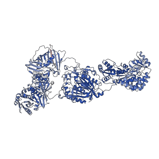 35188_8i4y_B_v1-1
CalA3 complex structure with amidation product