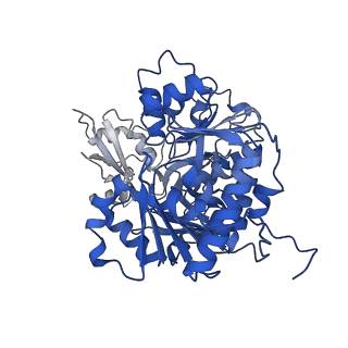35190_8i51_C_v1-0
Acyl-ACP Synthetase structure bound to AMP-MC7