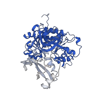 35190_8i51_F_v1-0
Acyl-ACP Synthetase structure bound to AMP-MC7