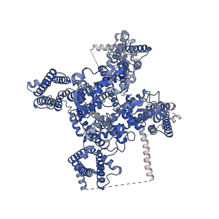 35193_8i5b_A_v1-1
Structure of human Nav1.7 in complex with bupivacaine