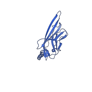35193_8i5b_B_v1-1
Structure of human Nav1.7 in complex with bupivacaine