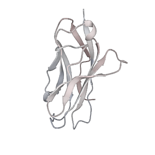 35193_8i5b_C_v1-1
Structure of human Nav1.7 in complex with bupivacaine