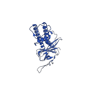 35195_8i5m_A_v1-0
Rat Kir4.1 in complex with PIP2