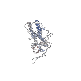 35196_8i5n_A_v1-0
Rat Kir4.1 in complex with PIP2 and Lys05