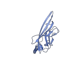 35197_8i5x_B_v1-1
Structure of human Nav1.7 in complex with Vinpocetine