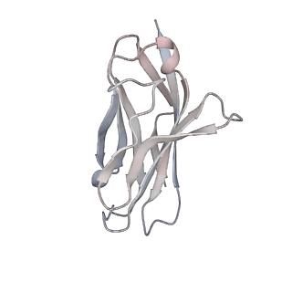 35197_8i5x_C_v1-1
Structure of human Nav1.7 in complex with Vinpocetine